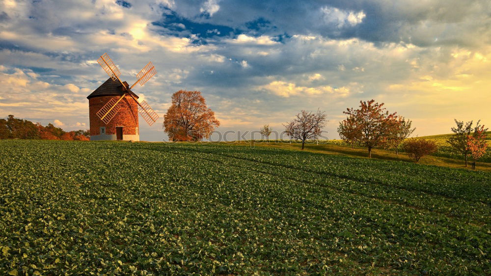 Similar – Foto Bild Spätsommer Umwelt Natur