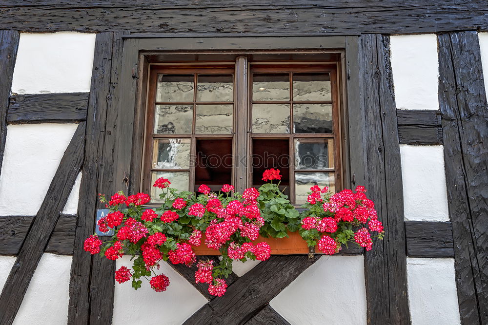 Similar – Image, Stock Photo AST 9 | Today we celebrate! Half-timbered houses decorated with white red flags