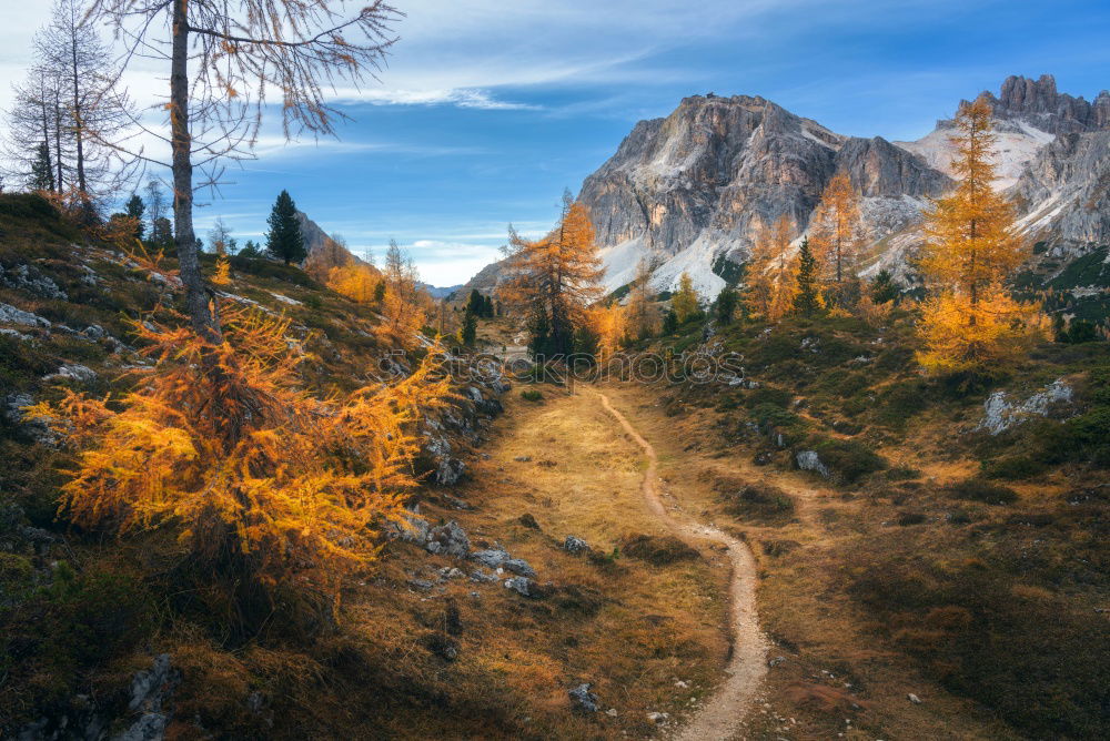 Image, Stock Photo Lake Kaltern Environment