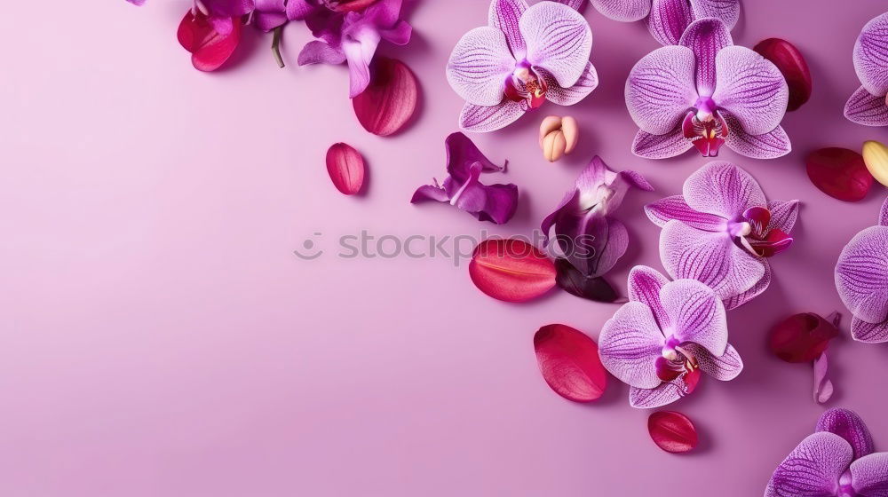 Similar – Image, Stock Photo Purple Berries purple