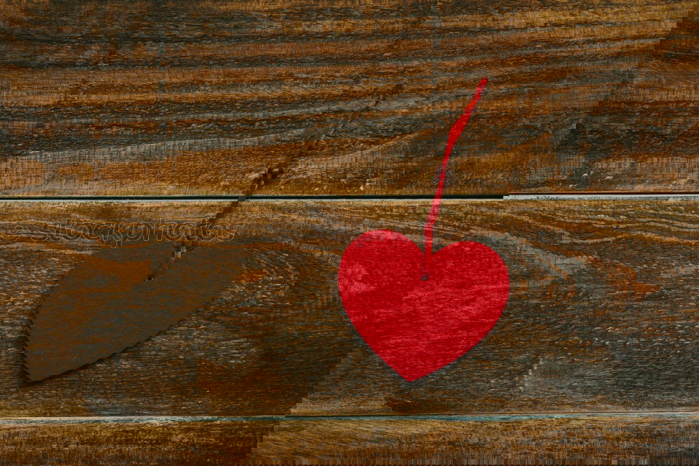 Similar – Image, Stock Photo AKDR# Take a heart