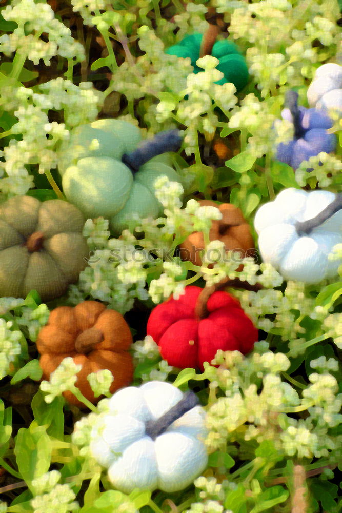 Similar – Image, Stock Photo Pretty fallen fruit on a meadow