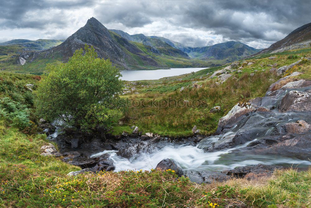 Similar – Image, Stock Photo View of the Geirangerfjord in Norway