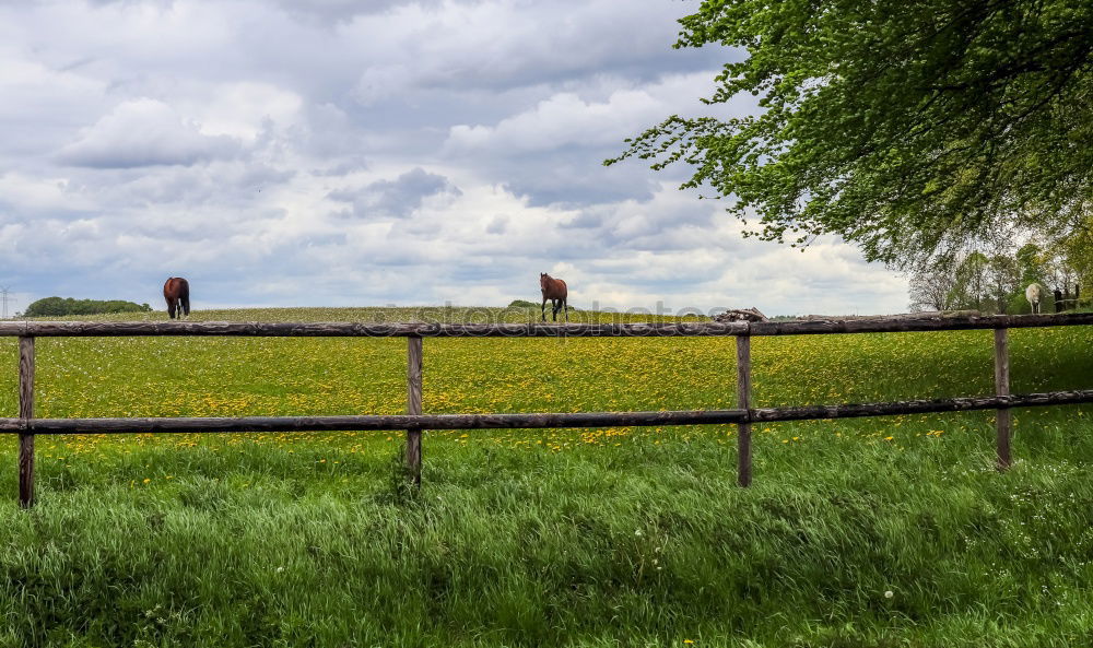 Tempelhof Field Berlin