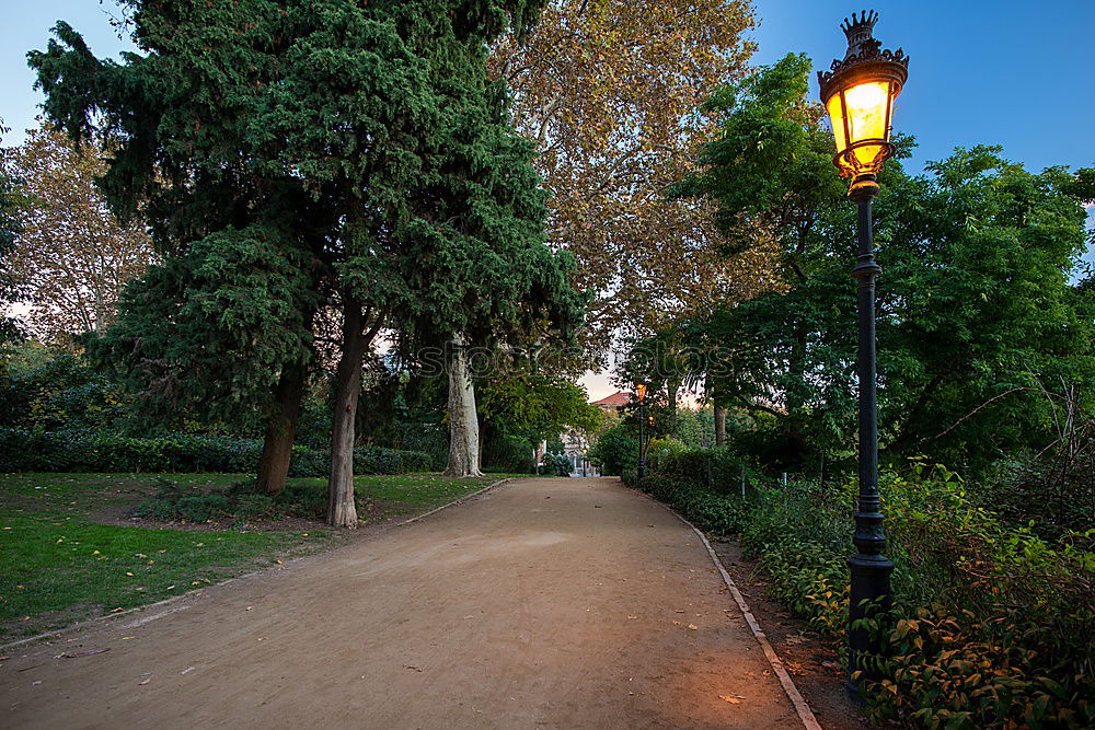 Similar – Eine Straße, viele Bäume (…)