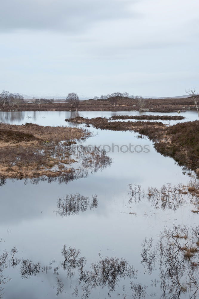 Similar – Image, Stock Photo Bodden Boddenlandscape NP