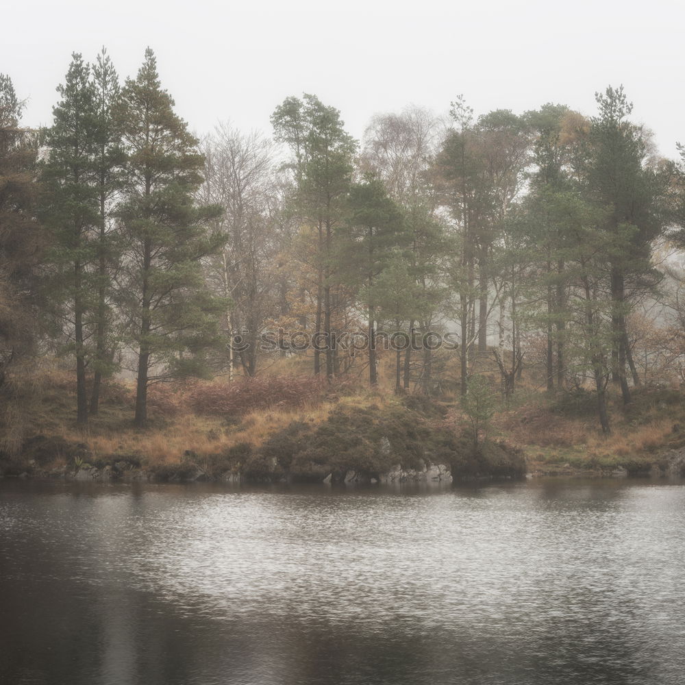 Similar – Woman sitting on a stone bridge in Dartmoor, England