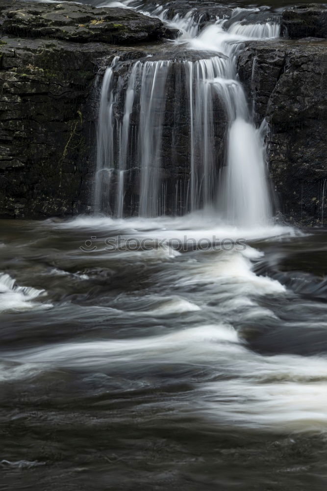 Similar – Image, Stock Photo chilling Nature Water