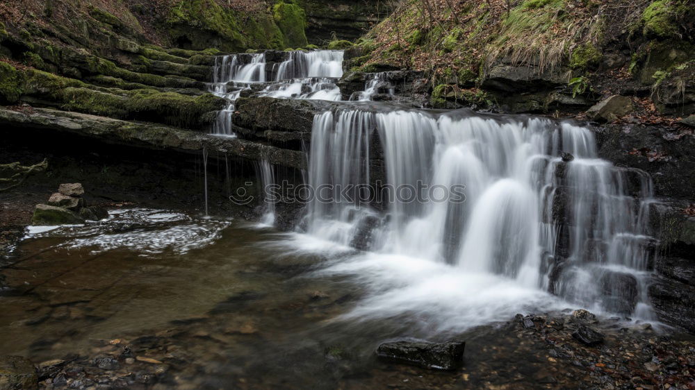 Similar – Image, Stock Photo chilling Nature Water