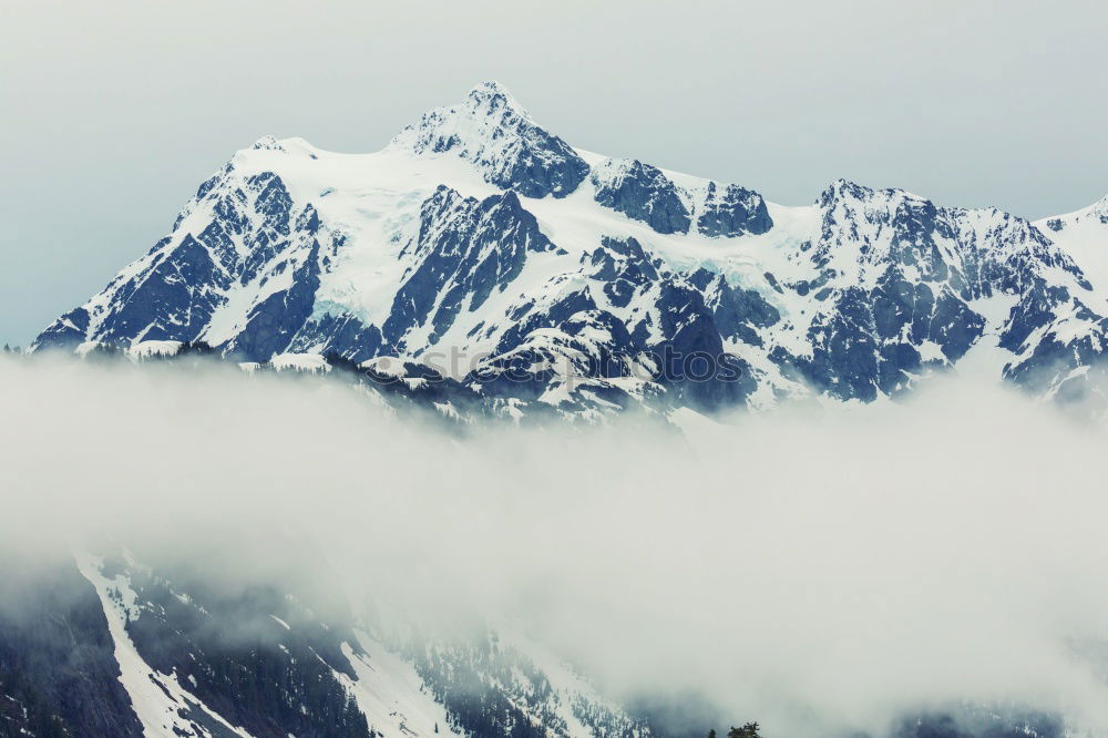 Similar – Image, Stock Photo Panorama of tourists and mountains