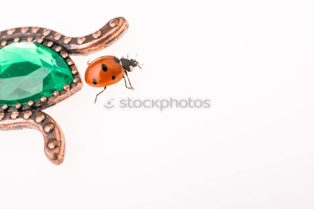 Similar – Image, Stock Photo King Zett Frog Prince