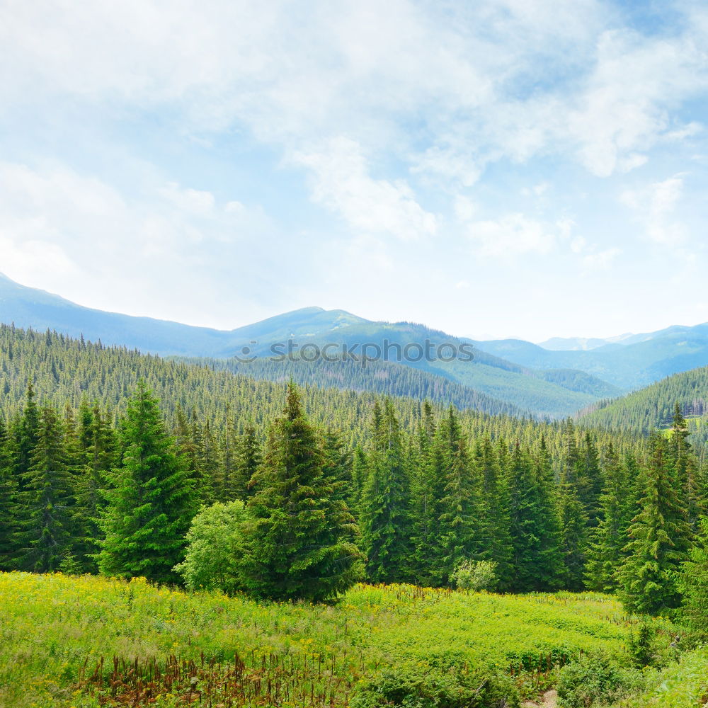 Similar – Image, Stock Photo Diamond Peak Landscape