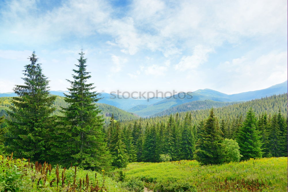 Similar – Carpathian Mountains Landscape In Romania