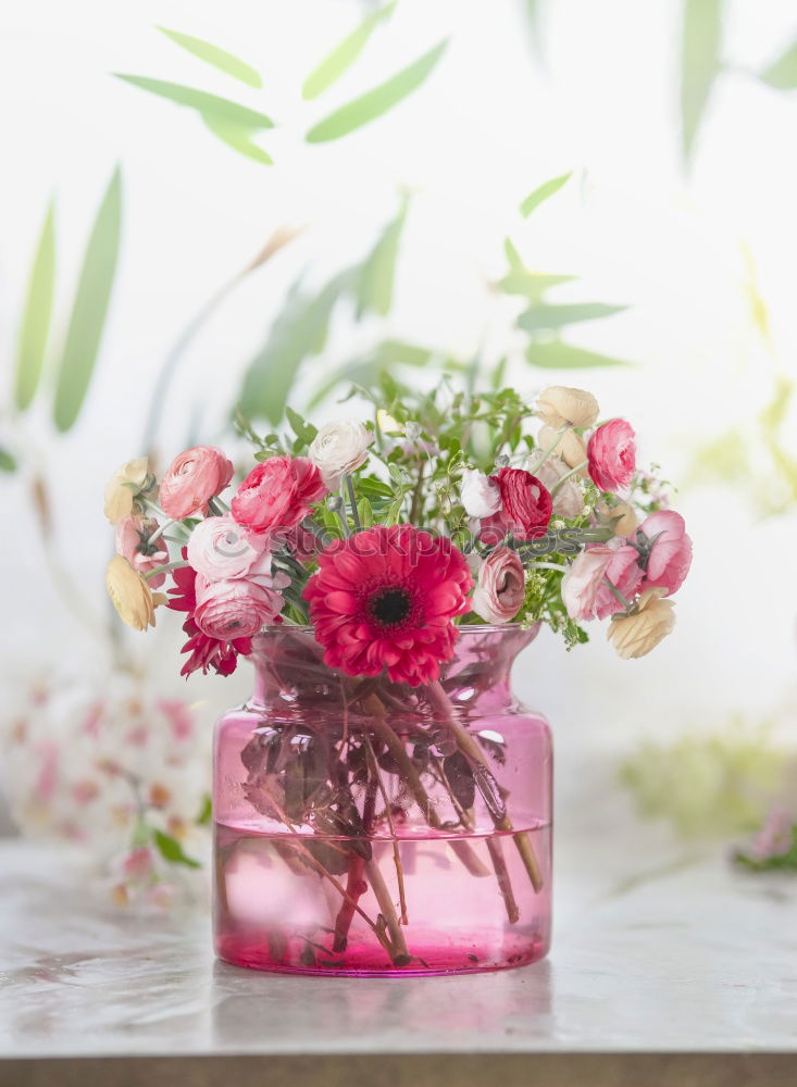 Similar – Image, Stock Photo Female hand holds bottle with pink lotion and flowers