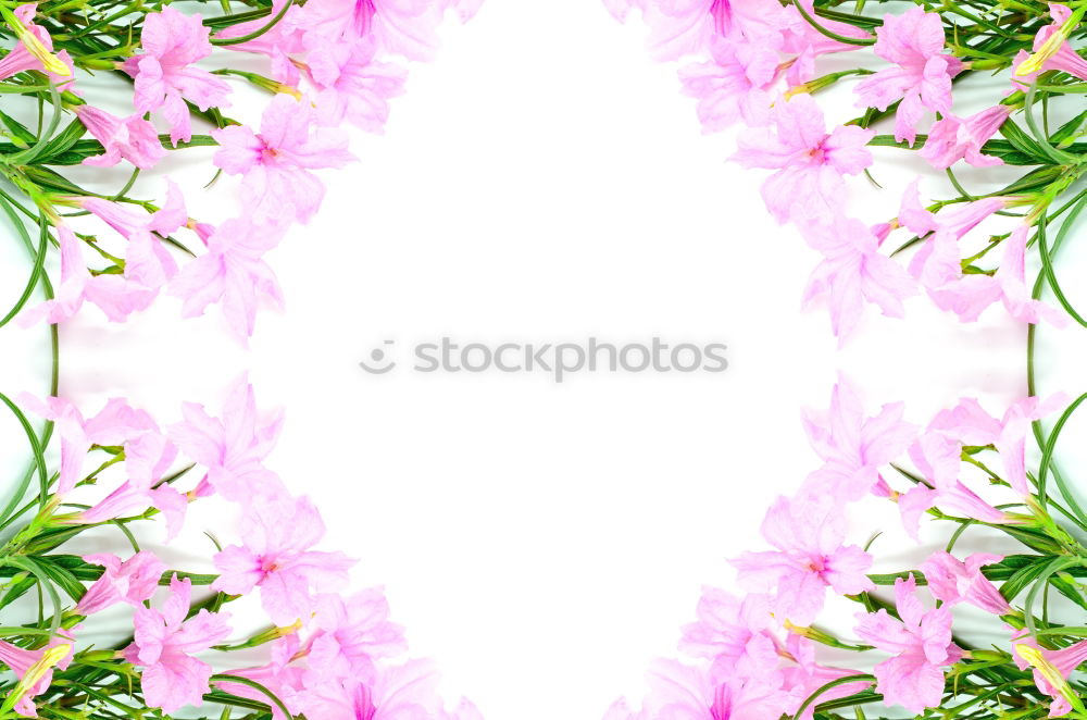 Similar – Shabby Chic Flower Frame