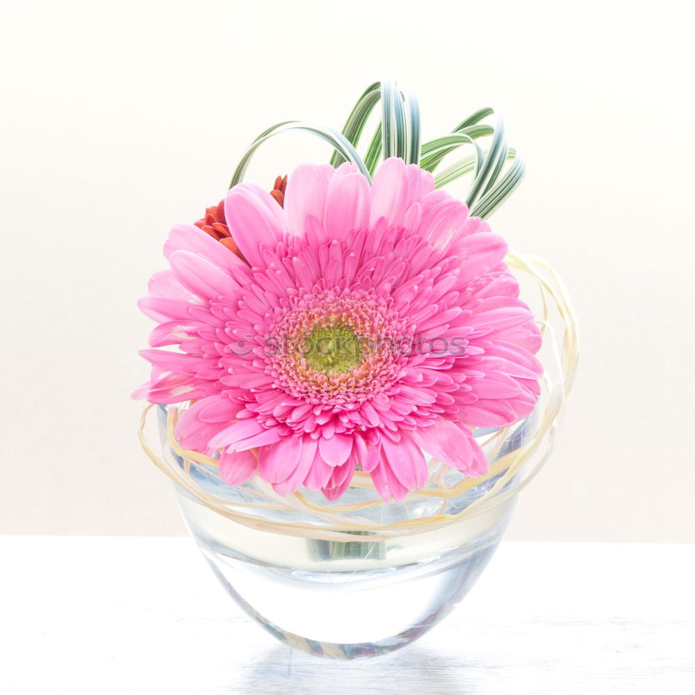 Similar – Watering can with garden flowers