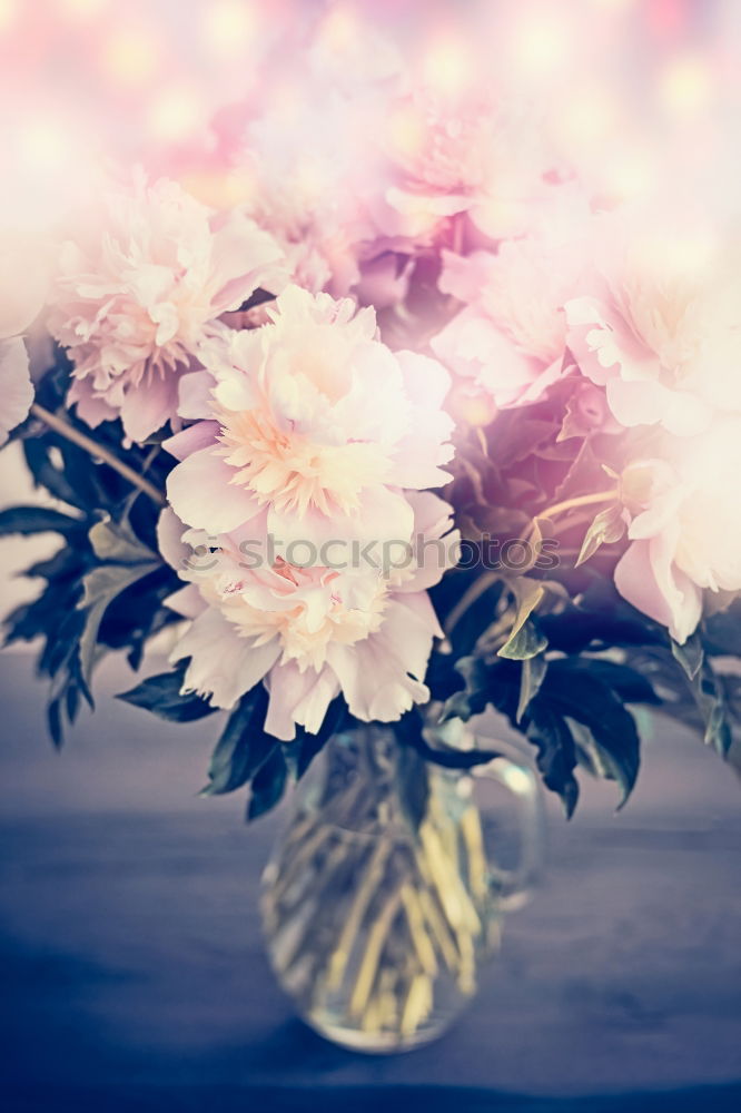 Similar – Peonies bouquet on table in living room