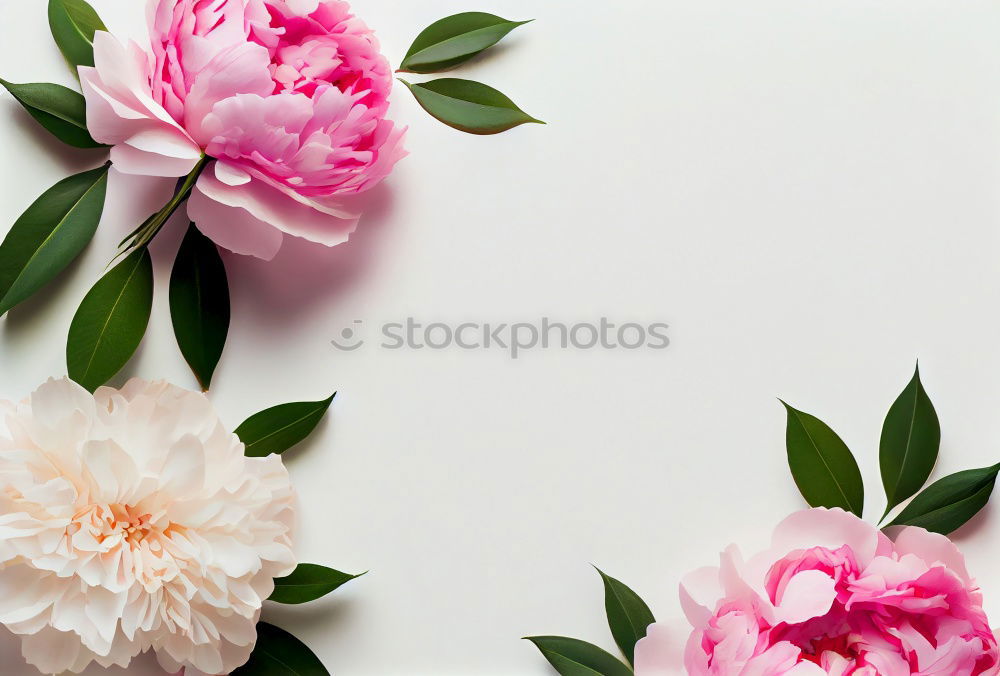 Similar – Image, Stock Photo Female hands write greeting card on pink table with flowers