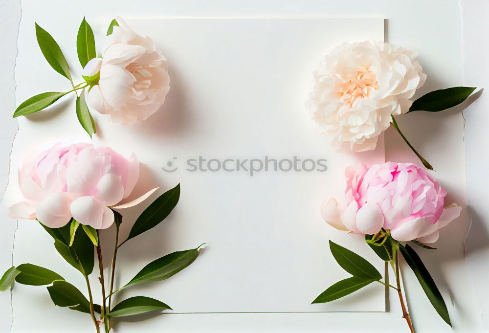 Similar – Shabby Chic Flowers Style