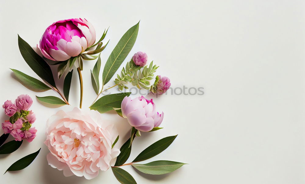 Similar – Red Tulips Bouquet On Wood Table