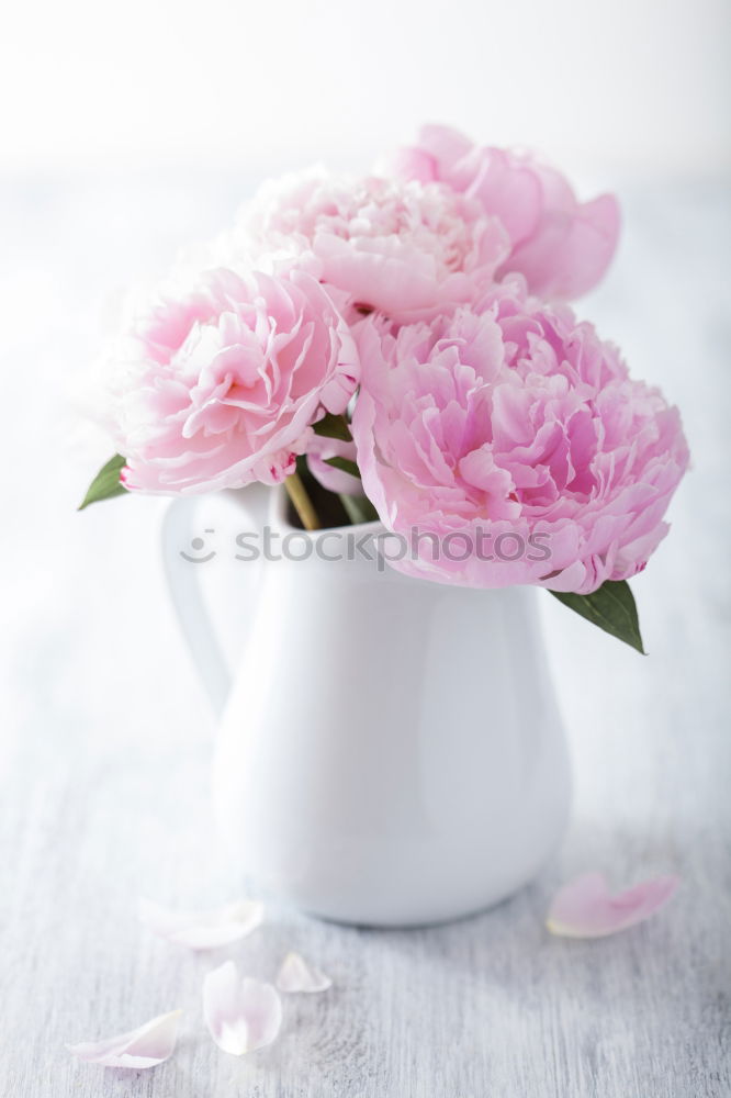 Similar – Image, Stock Photo Freshly cut peony flowers