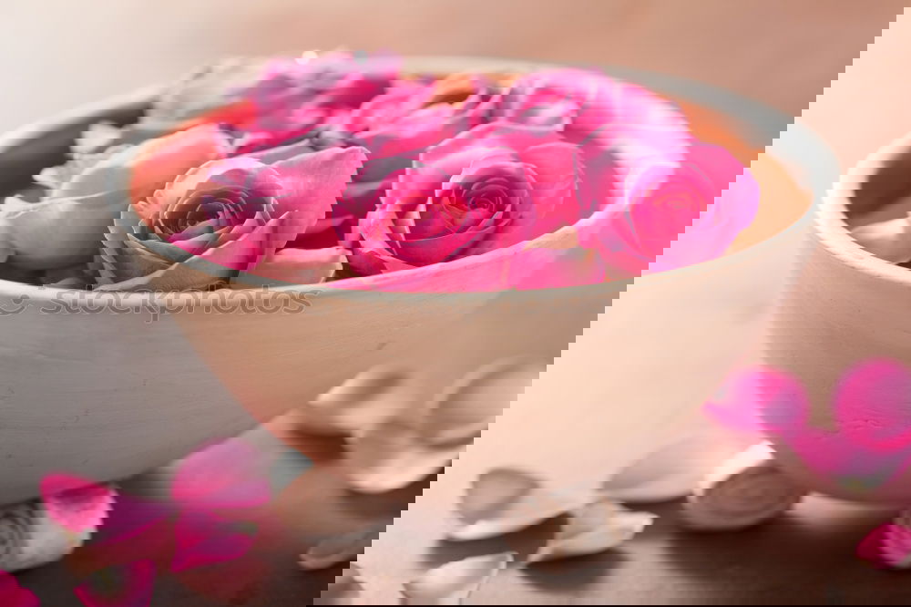 Similar – Image, Stock Photo White cup with heart and pink tulips