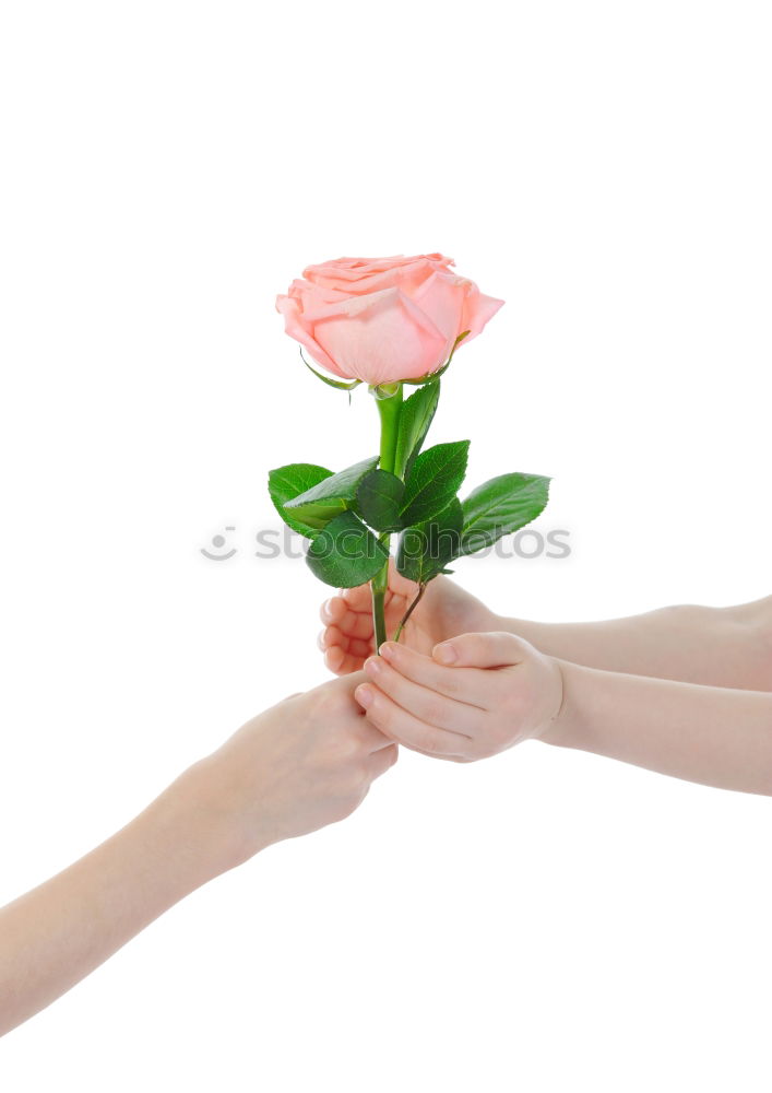 Similar – Woman hold bouquet of origami flowers