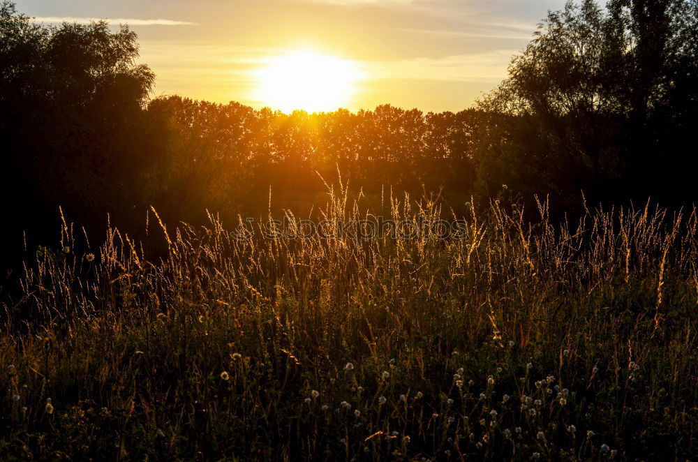 Similar – Sunset Route Loneliness