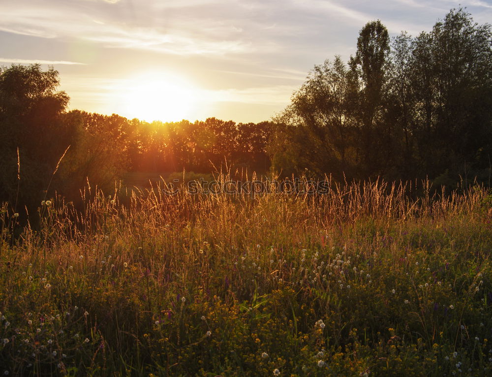 Similar – translucent Environment