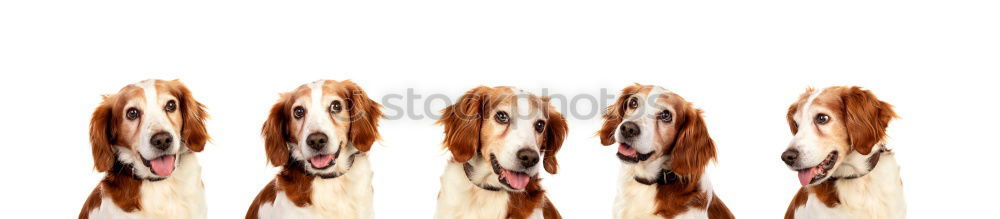 Similar – Foto Bild Super-verbleit 2