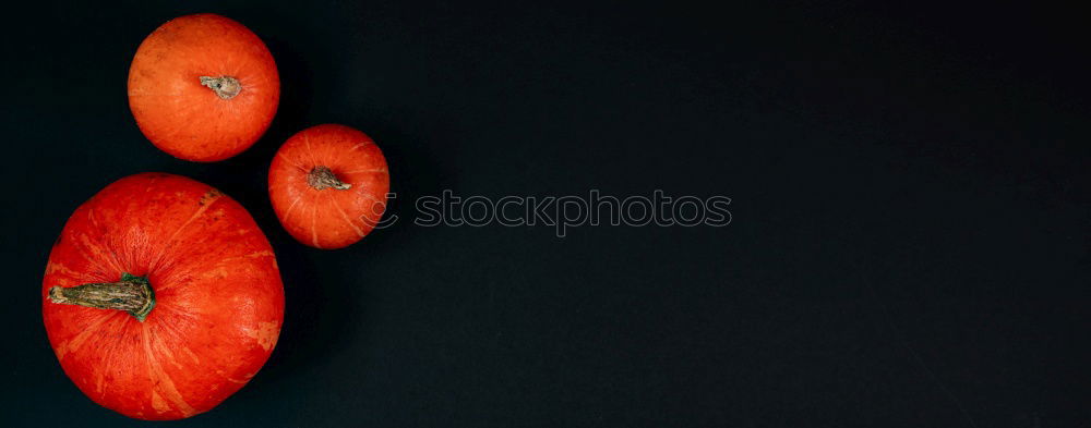 Similar – Image, Stock Photo Turkish; poppy seed; papaver; oriental;