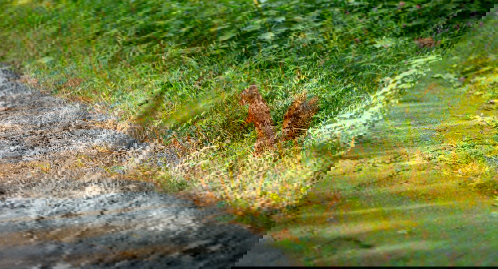 Foto Bild Road Trip Umwelt Natur