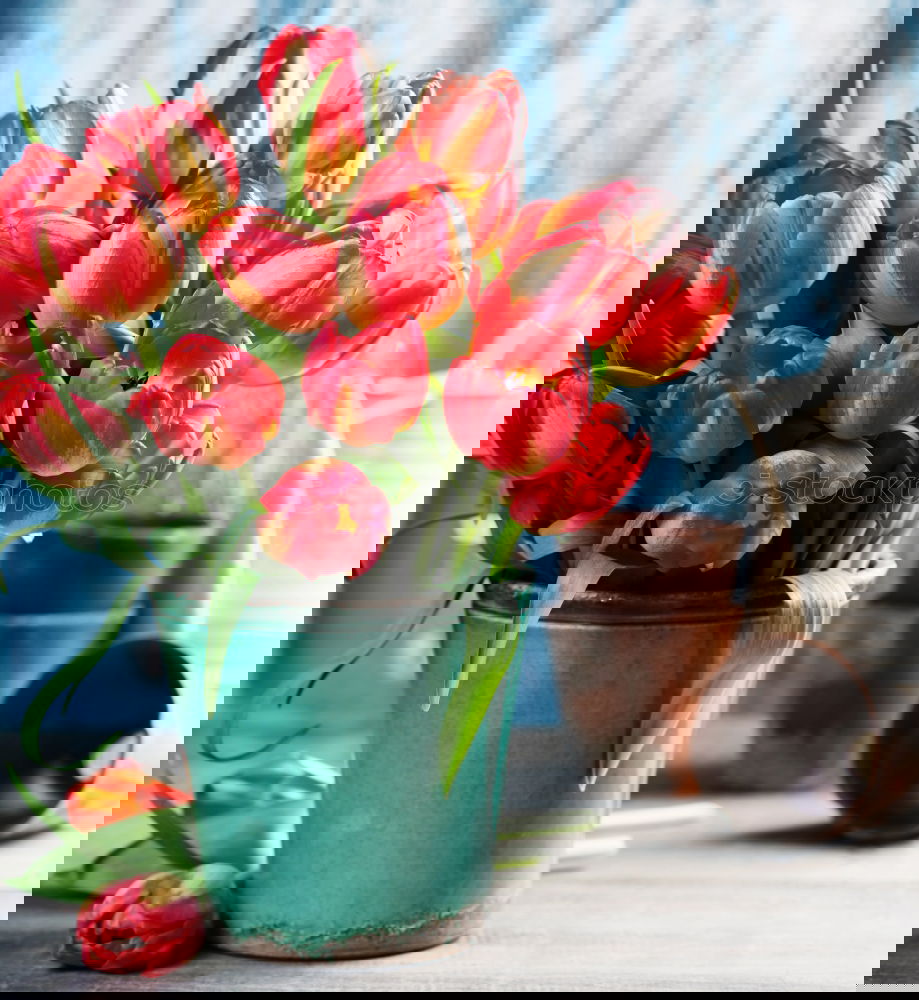 Similar – Image, Stock Photo Shopping bag with beautiful tulips