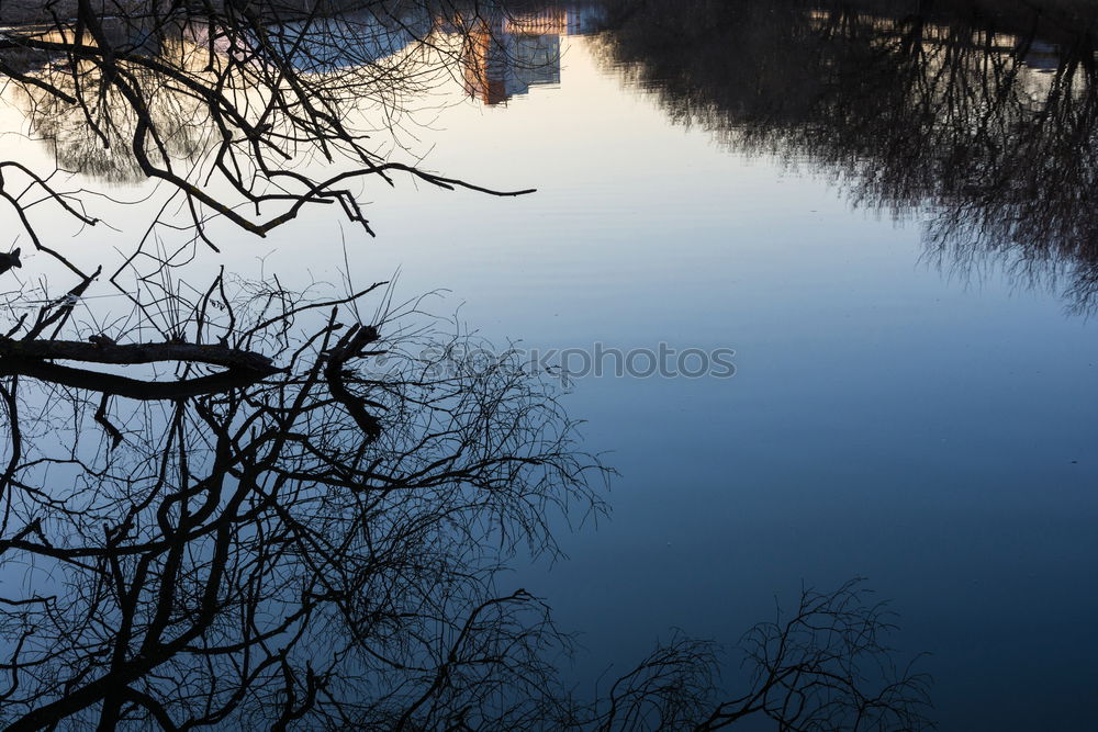 Similar – Foto Bild Das Licht am Ende des Stammes