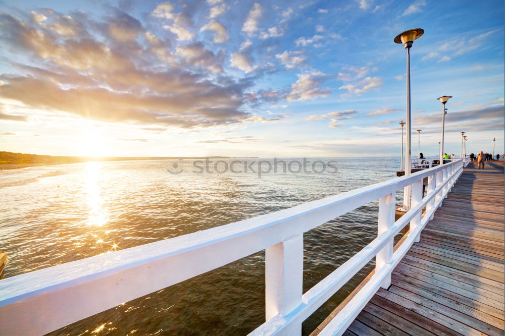 Similar – Image, Stock Photo Pigeon taking off Animal