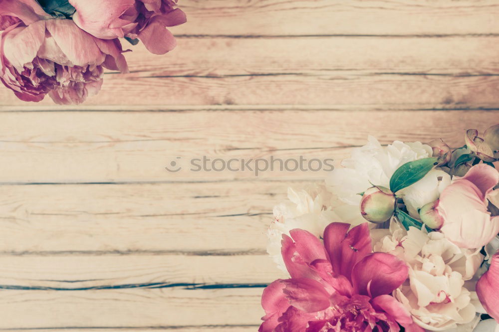 Similar – Image, Stock Photo Decorative bunch of plants in a ceramic teapot