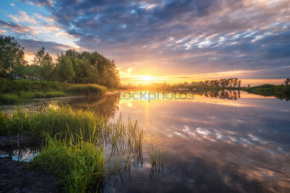 Similar – Image, Stock Photo elbaue Environment