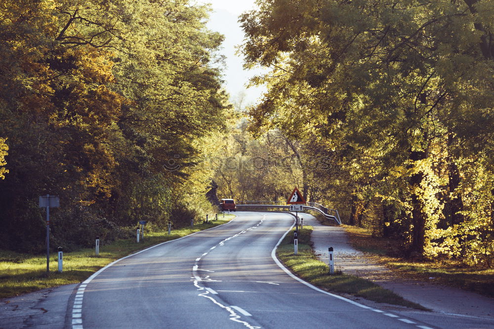 Similar – Image, Stock Photo Trees Avenue Cobblestone Street