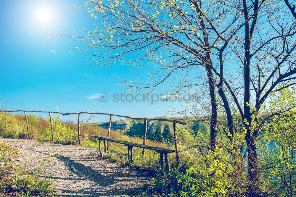 Similar – Image, Stock Photo walking through the Western Pomerania Lagoon Area National Park