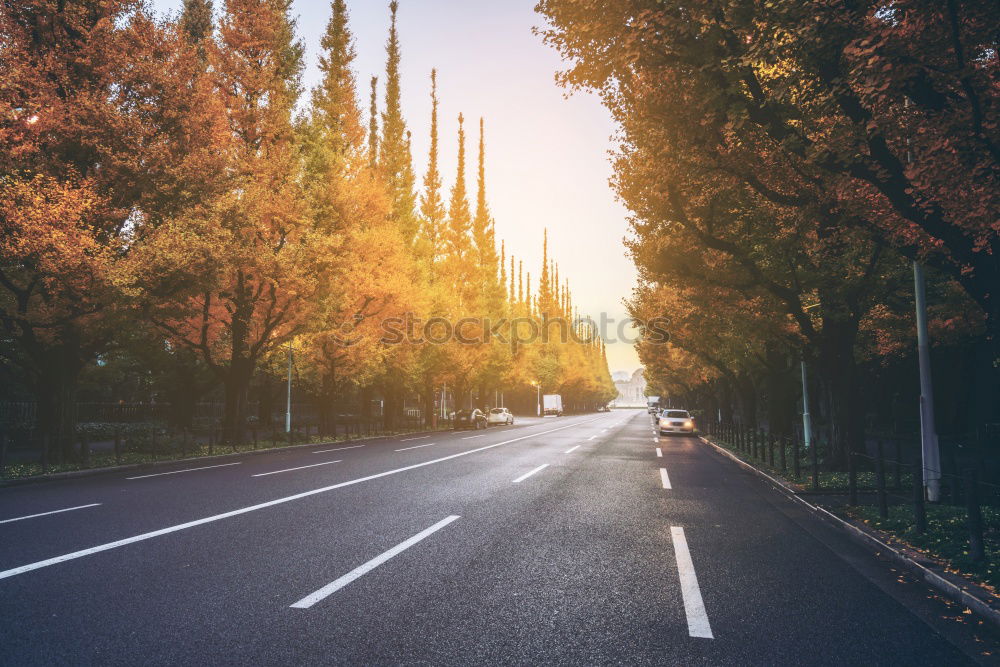 Cityscape of traffic road at sunset