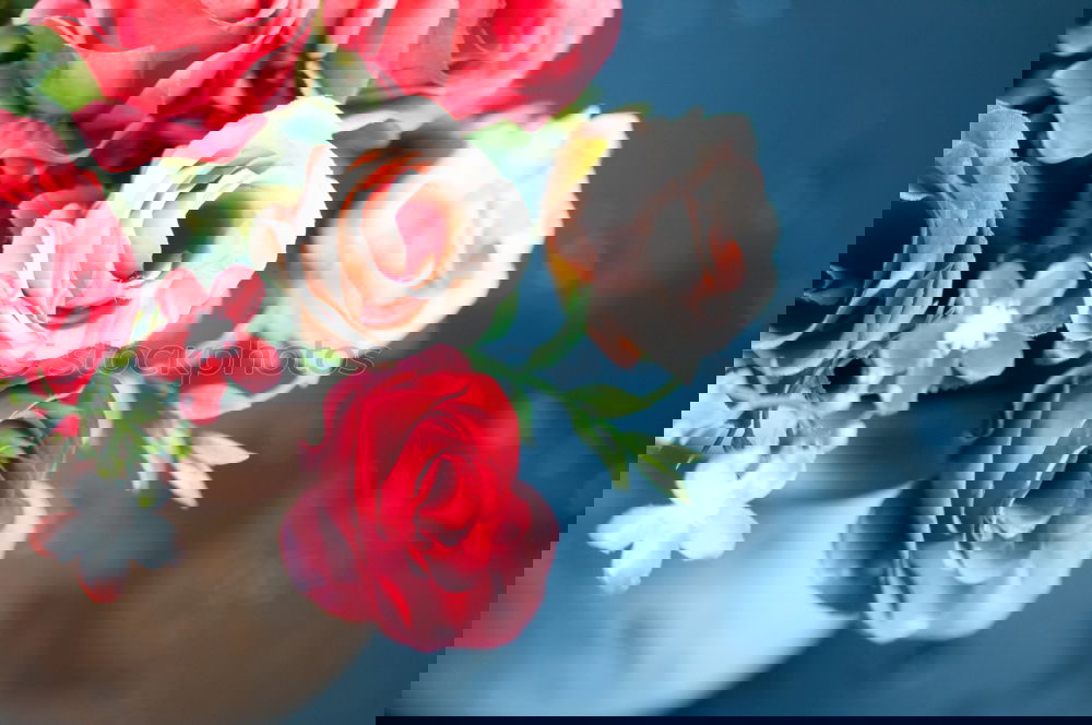Similar – Image, Stock Photo Bouquet in female hands