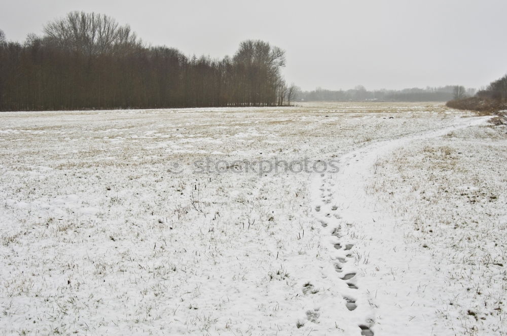 Similar – Tracks behind me Snow