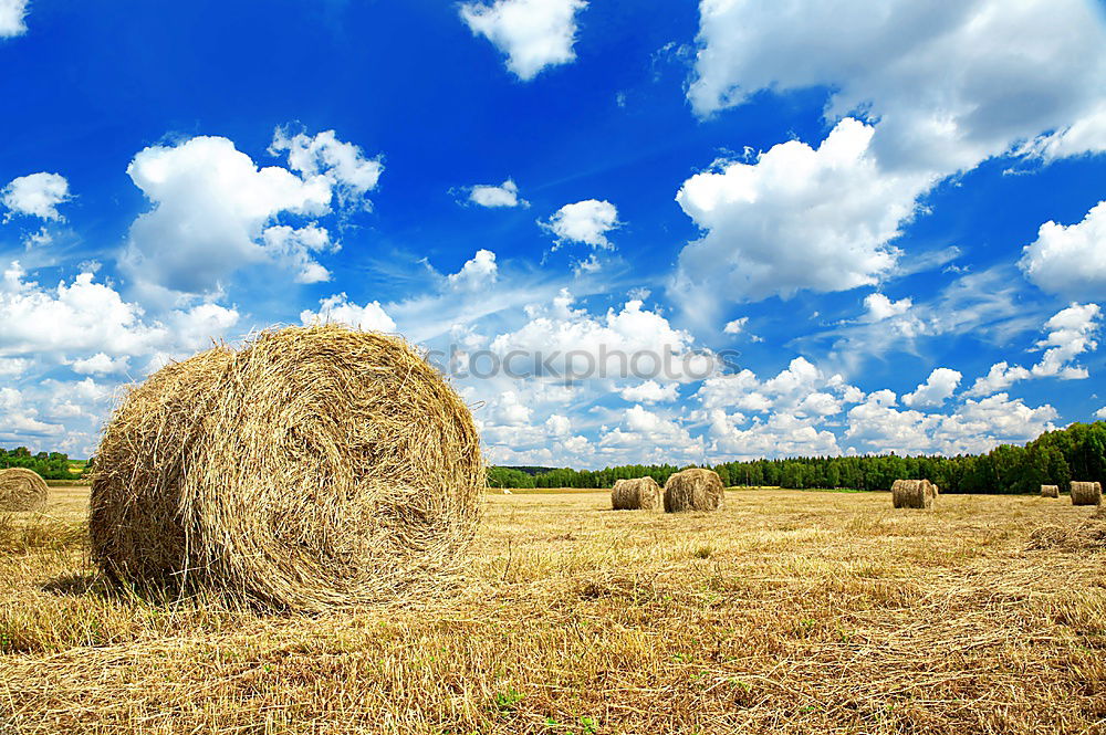 Similar – hay bales Straw Field