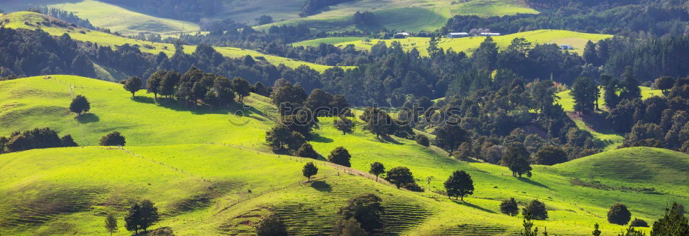 Similar – Image, Stock Photo look down Nature Sunlight