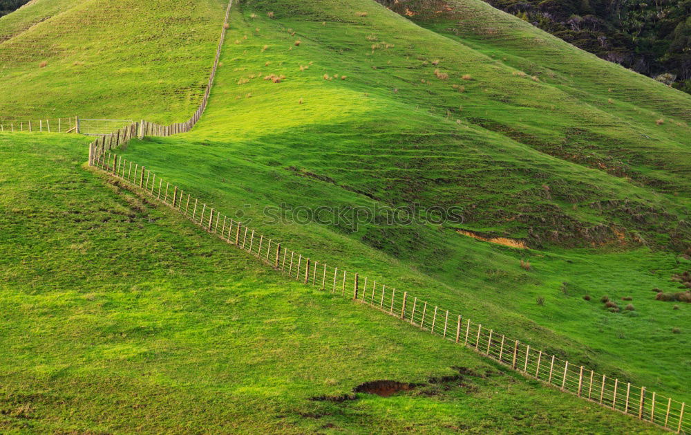 Similar – Image, Stock Photo Swiss Early Fog