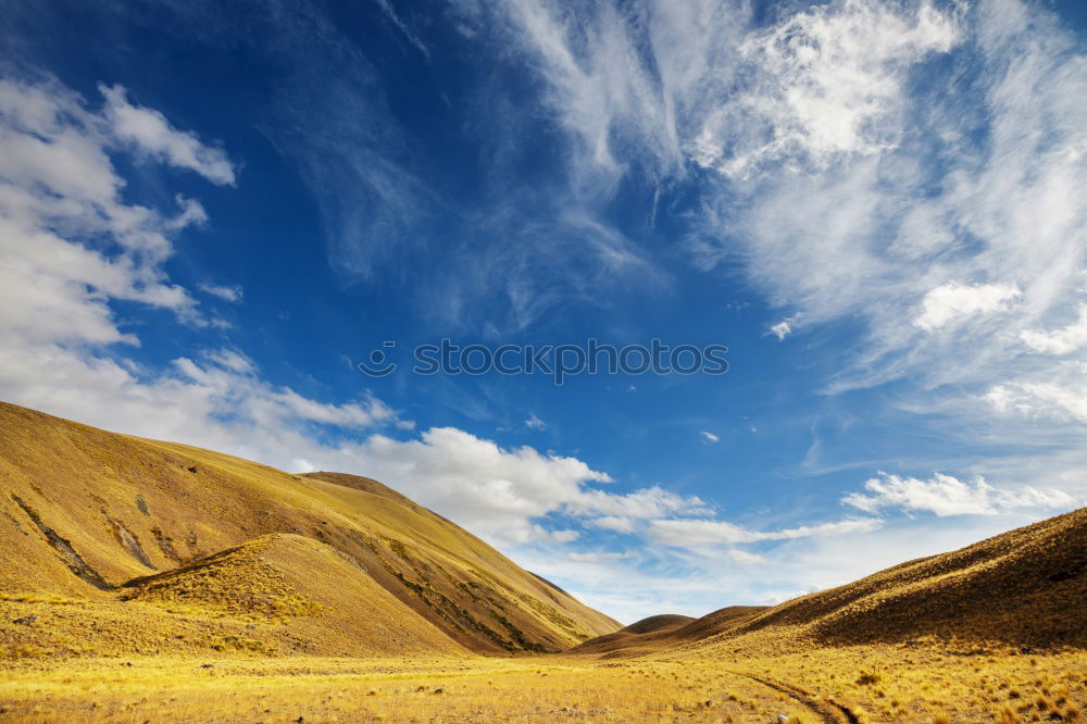 Similar – joshua tree wolken Natur