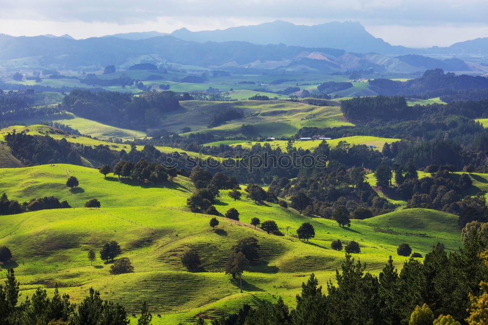 Similar – Image, Stock Photo The green contour of the earth