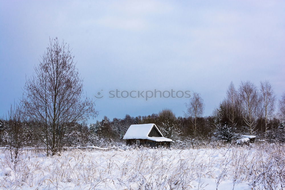 Similar – Image, Stock Photo winter camping