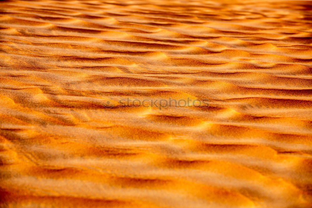 Similar – in the sahara morocco desert