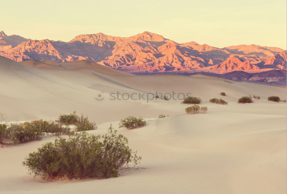 Similar – Great Sand Dunes National Park